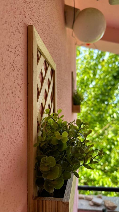 Apartment Murva Premantura Exterior photo
